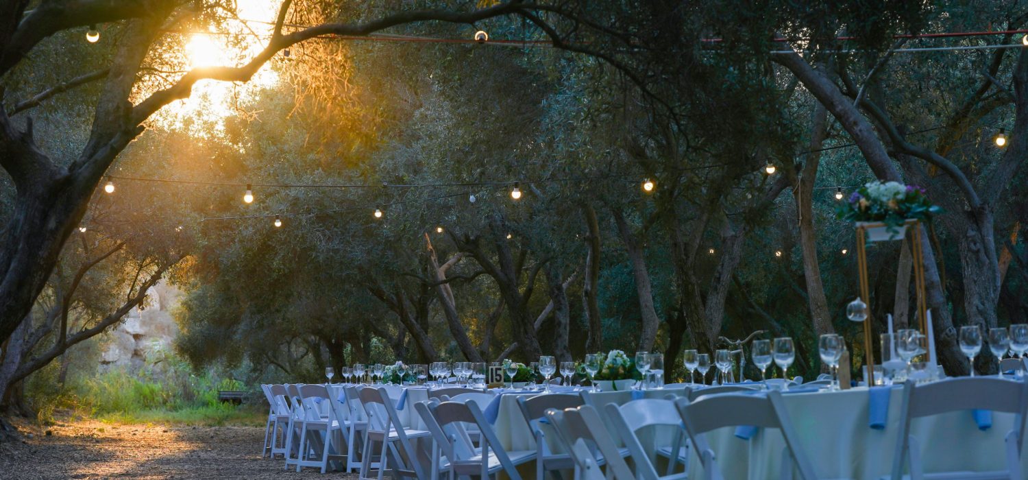 הפקת אירועים עם נח בטבע