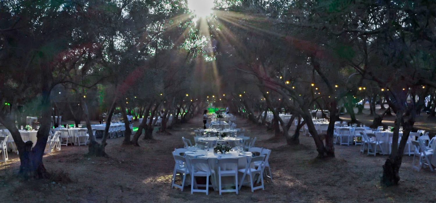 תמונת אתר הבית (1)